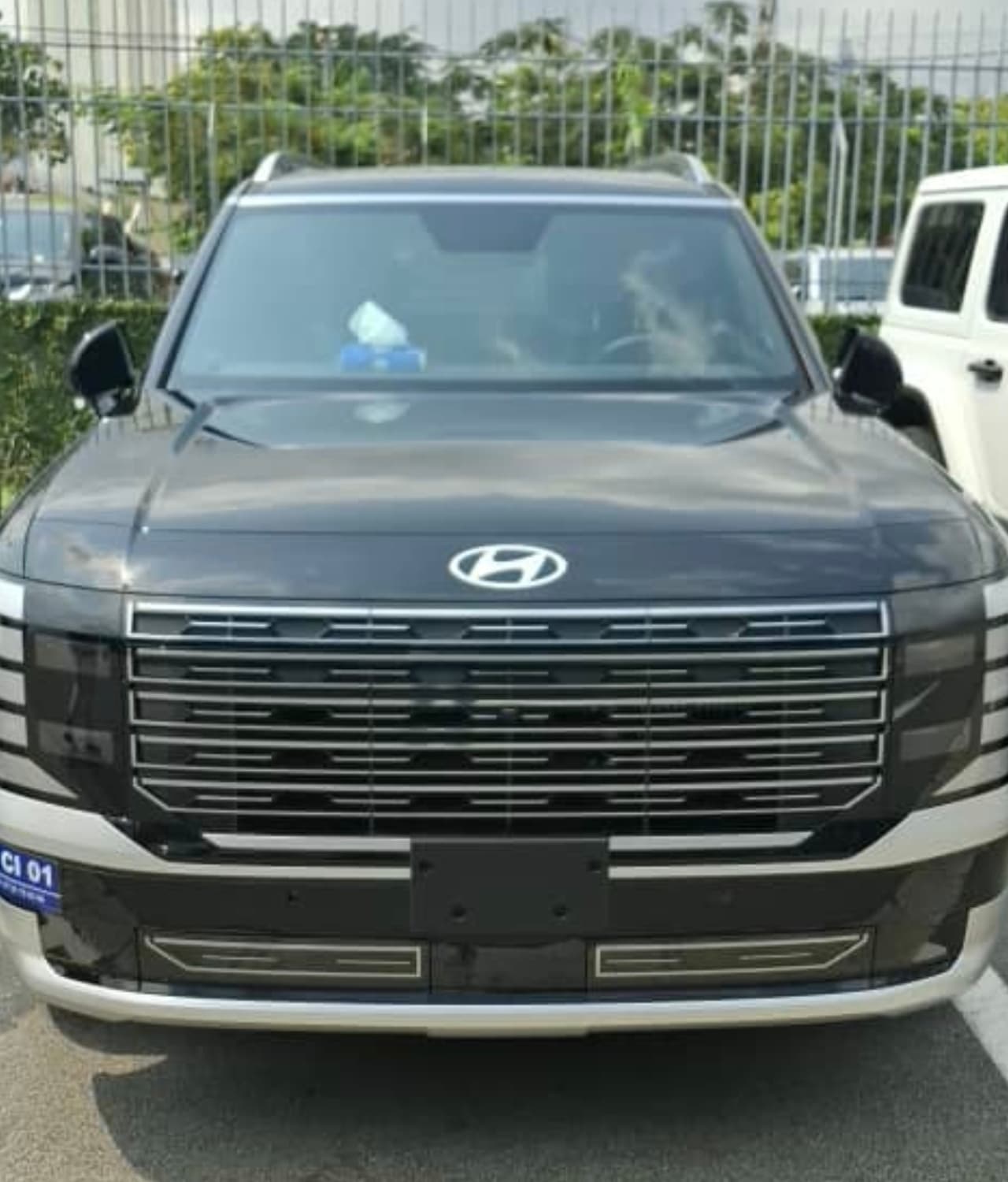 Hyundai Palissade photo 2
