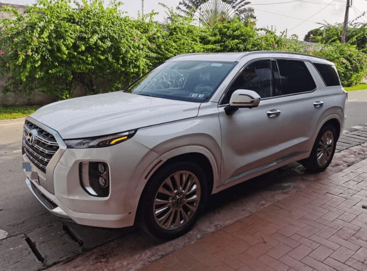 Hyundai Palissade photo 2