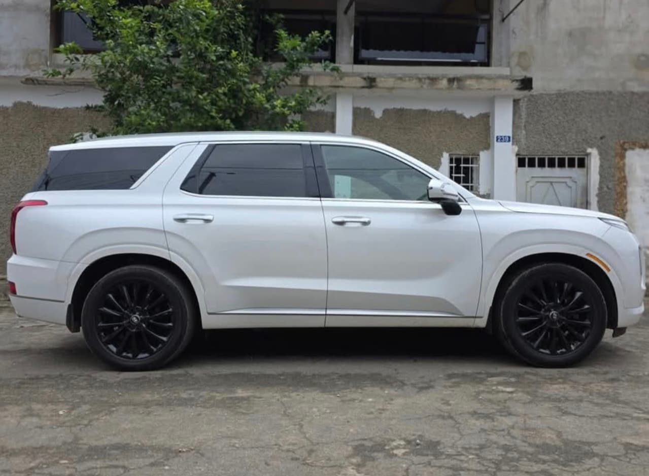 Hyundai Palisade photo 4
